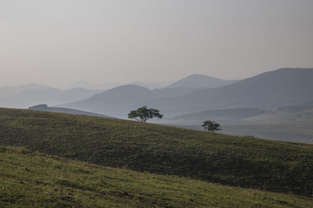 Photograph by Татьяна Алексеева
