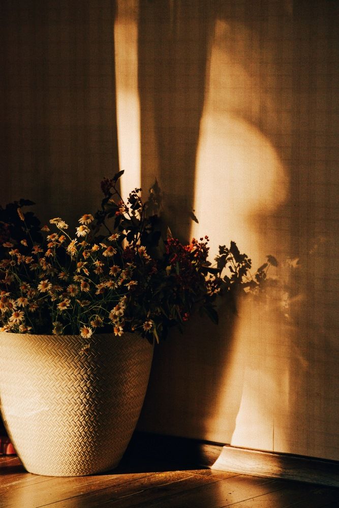 Фотография автора Ксения Шамсудинова