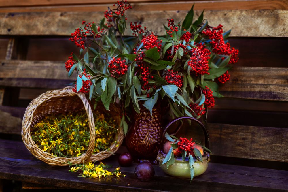 Photograph by Maria Fedorova