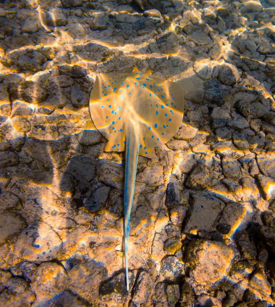 Photograph by Парфентьев Антон