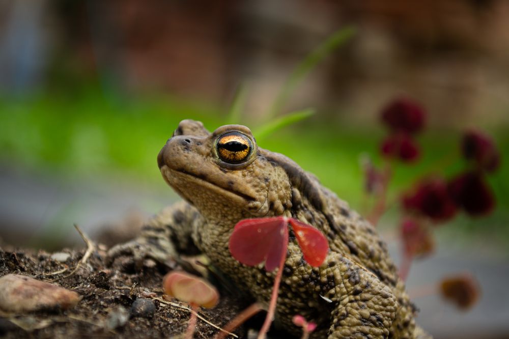 Photograph by Владислав Якушев