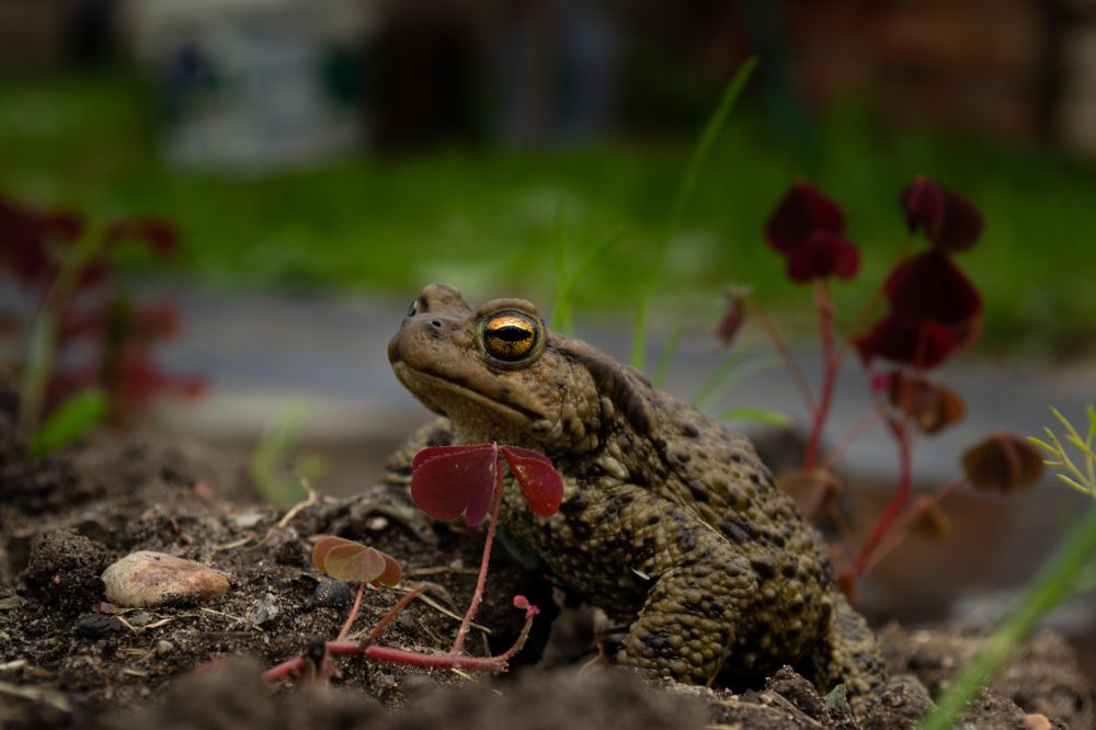 Photograph by Владислав Якушев