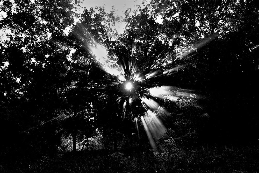 Photograph by Алексей Сиваков