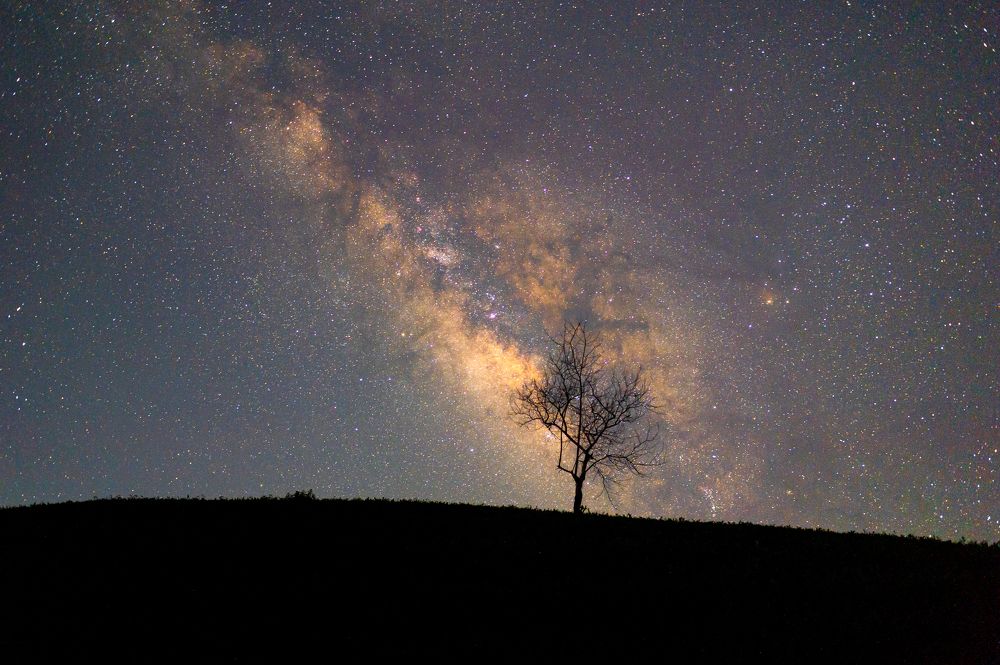 Photograph by Chris Duy