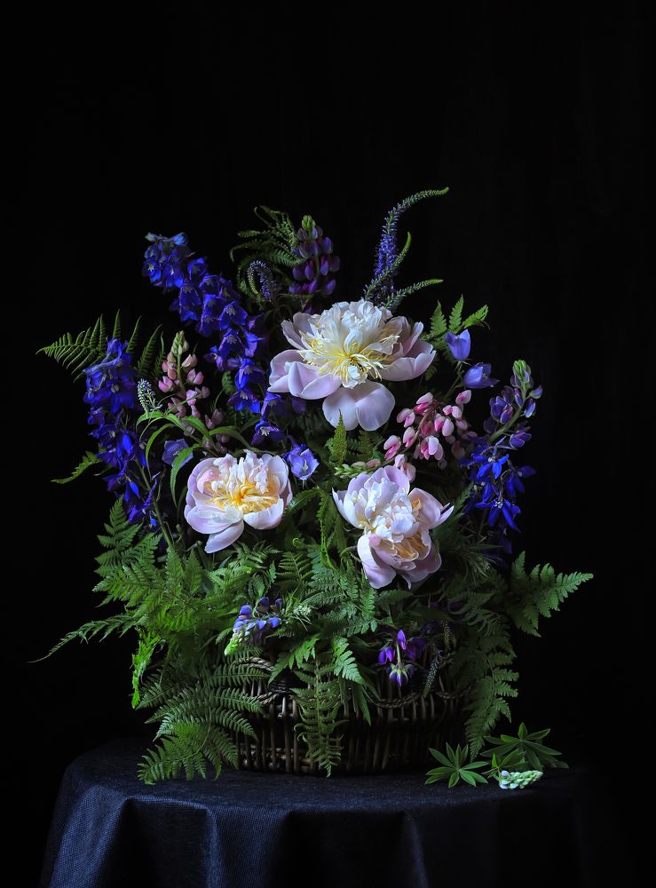 Photograph by Татьяна Кытина