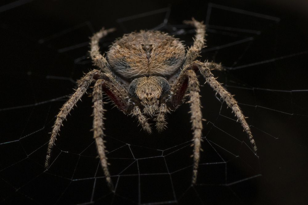 Photograph by Sameer Bhalekar