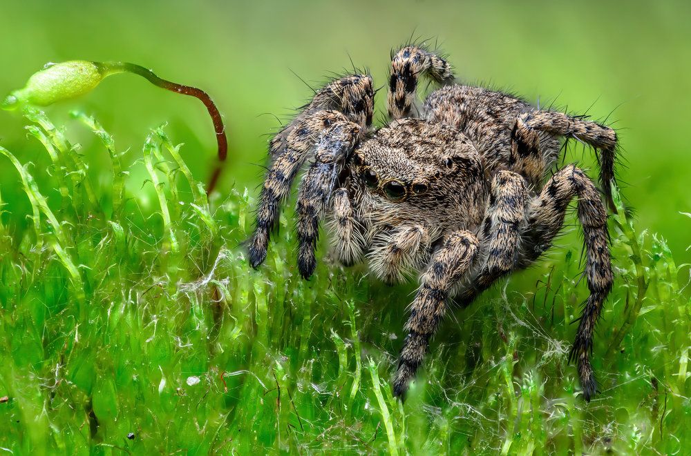Фотография автора Сергей Чебанов