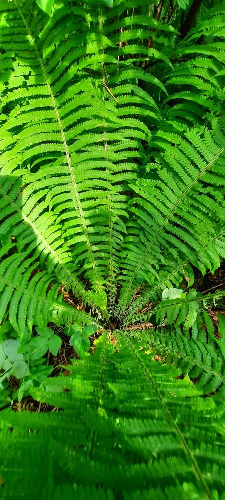 Фотография автора Александр Черепанов