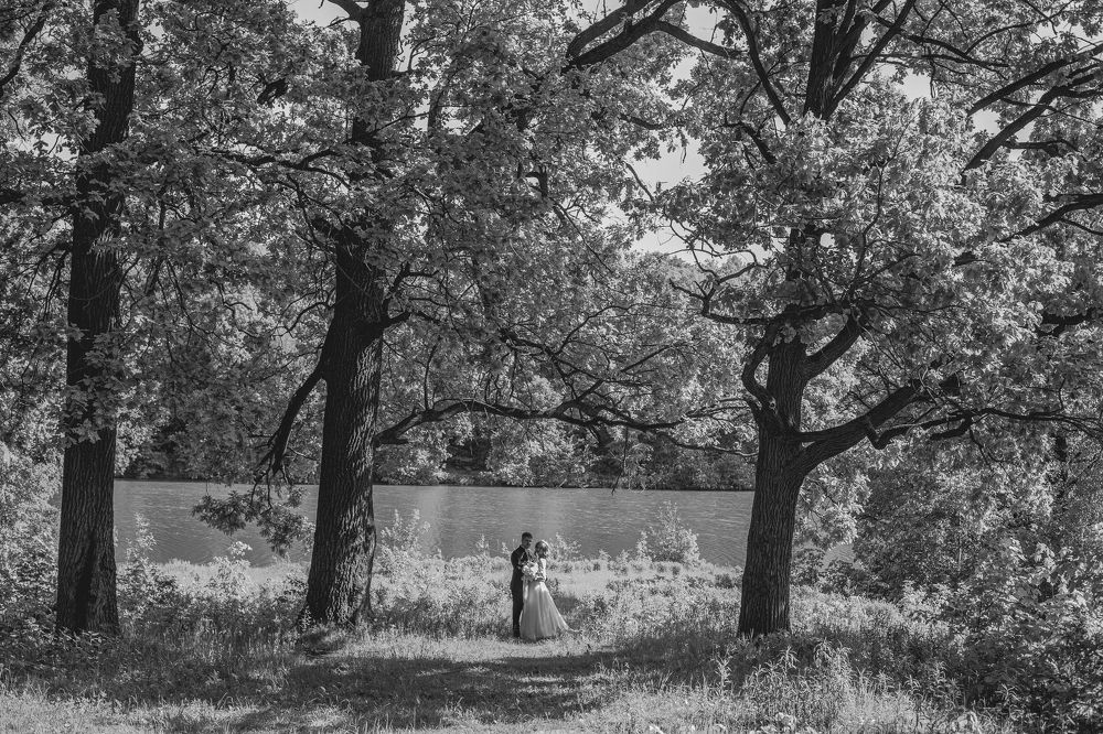 Photograph by Sodomelle Flavian