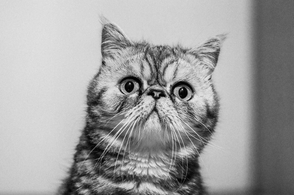 Photograph by Татьяна Шевченко