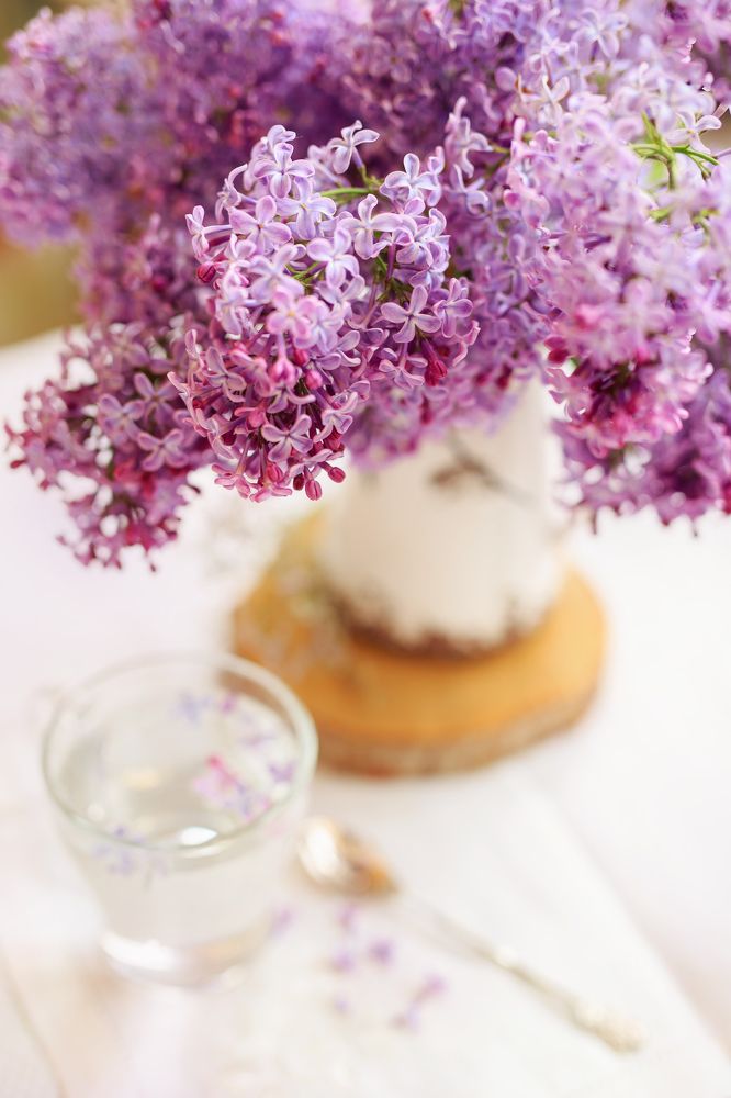 Photograph by Elena Podchishchaeva