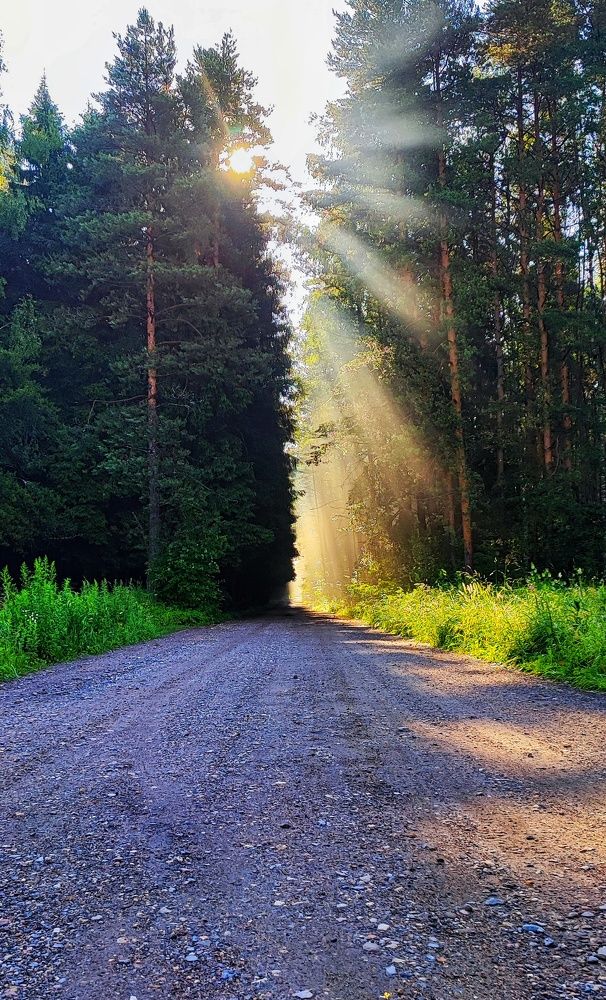 Photograph by Андрей