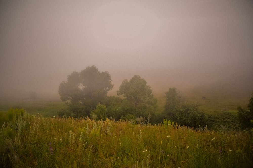 Photograph by Sodomelle Flavian