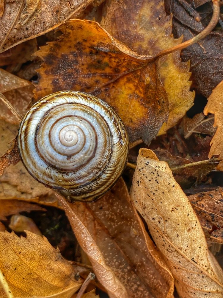 Photograph by Евгения Казакова