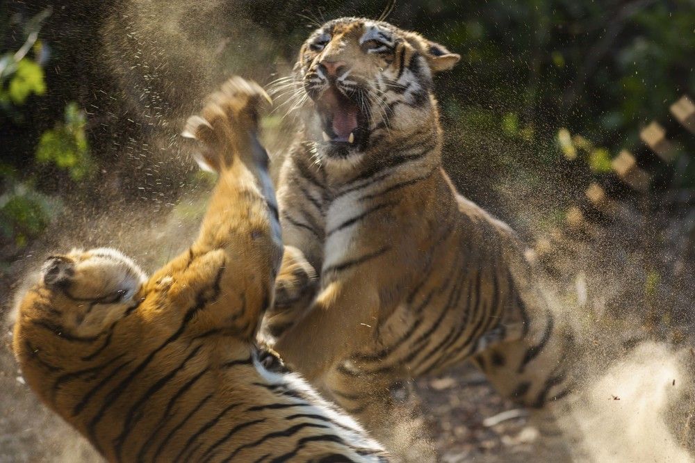 Photograph by SYED AYAAN ALI SHAH