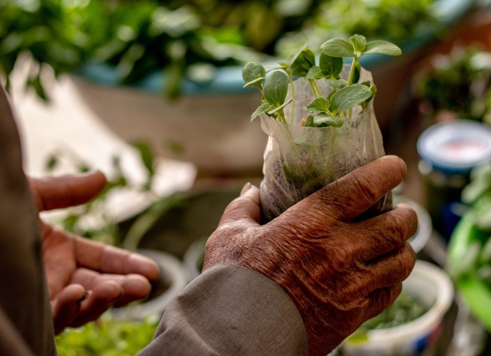 Photograph by Mostafa Mortazavi