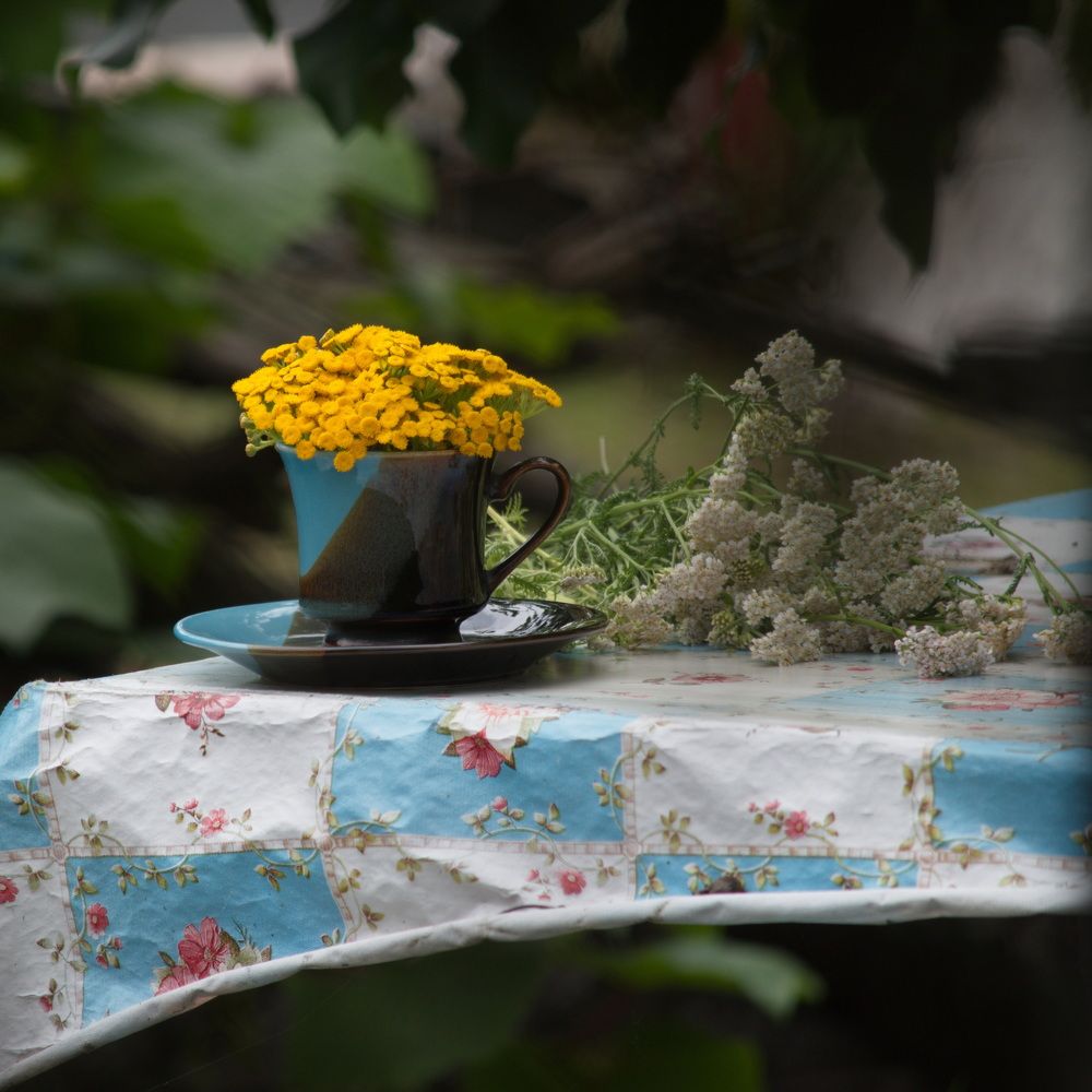 Photograph by Елена Ласун