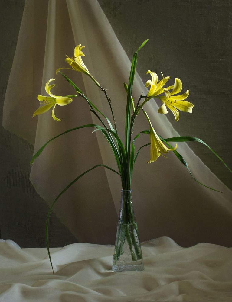 Photograph by Светлана Урманцева