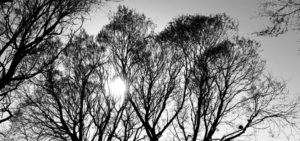 Photograph by Евгения Ульянова