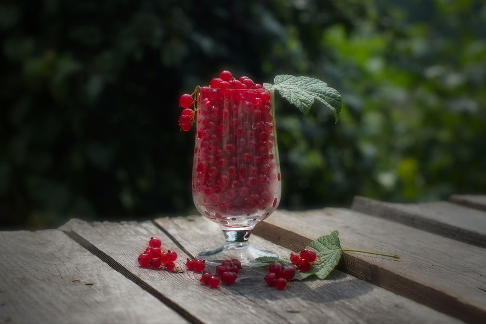 Photograph by Елена Ласун