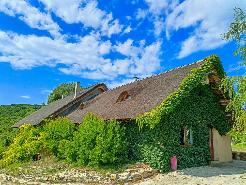 Photograph by Олег Башкуров