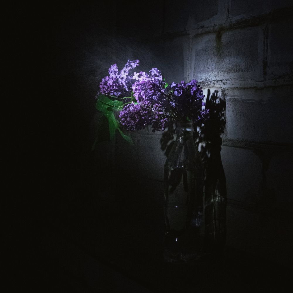 Photograph by Ирина Кравченко