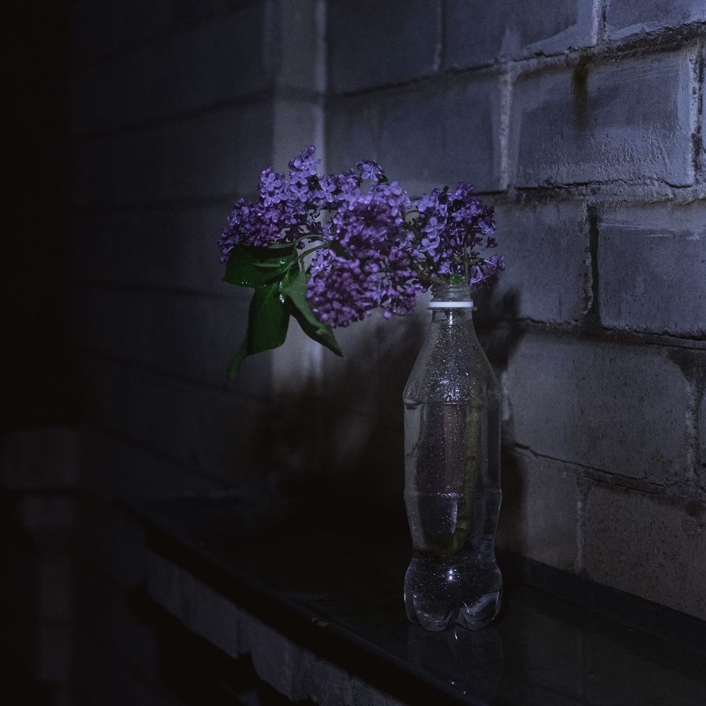 Photograph by Ирина Кравченко