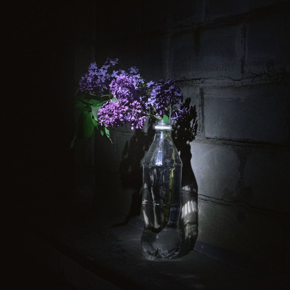 Photograph by Ирина Кравченко