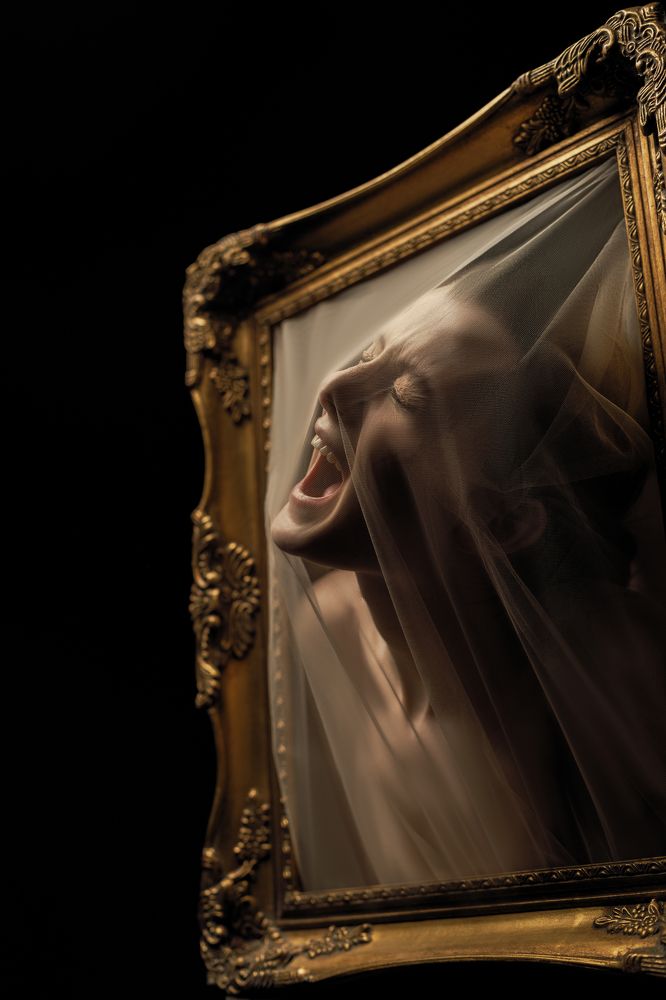 Взгляд из тишины