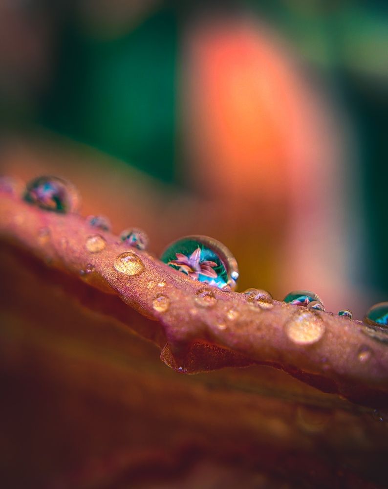 Фотография автора Юра Кладухин