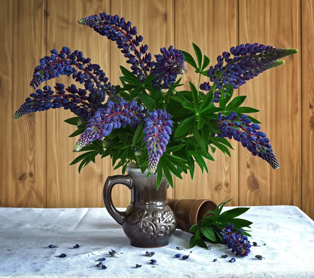 Photograph by Владимир Архипов