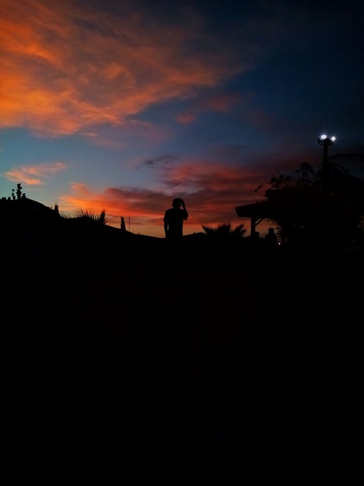 Photo #7838667