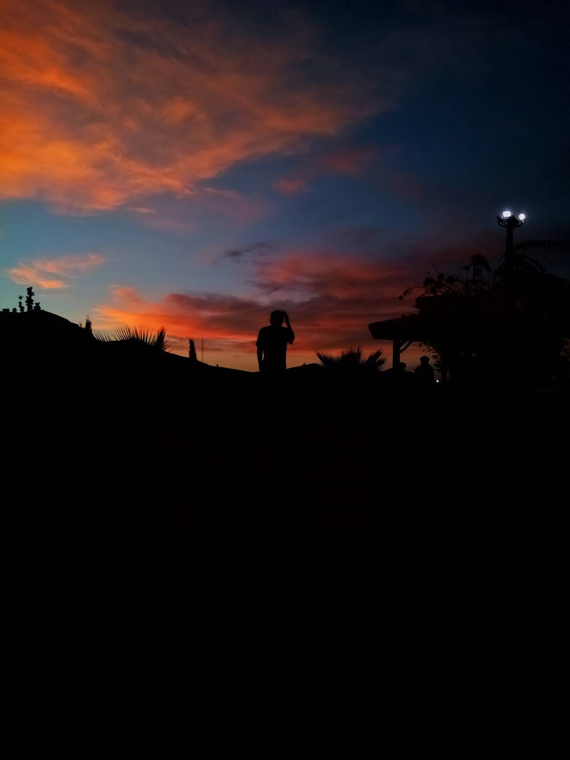 Photo #7838667
