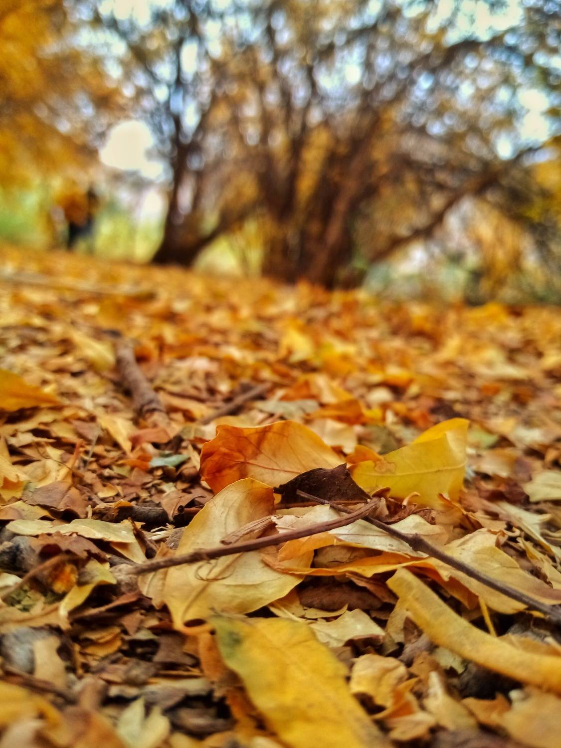 Photo #7838670