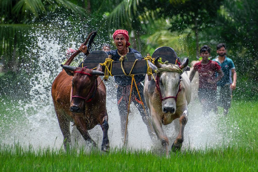 Photograph by Kuntal Biswas