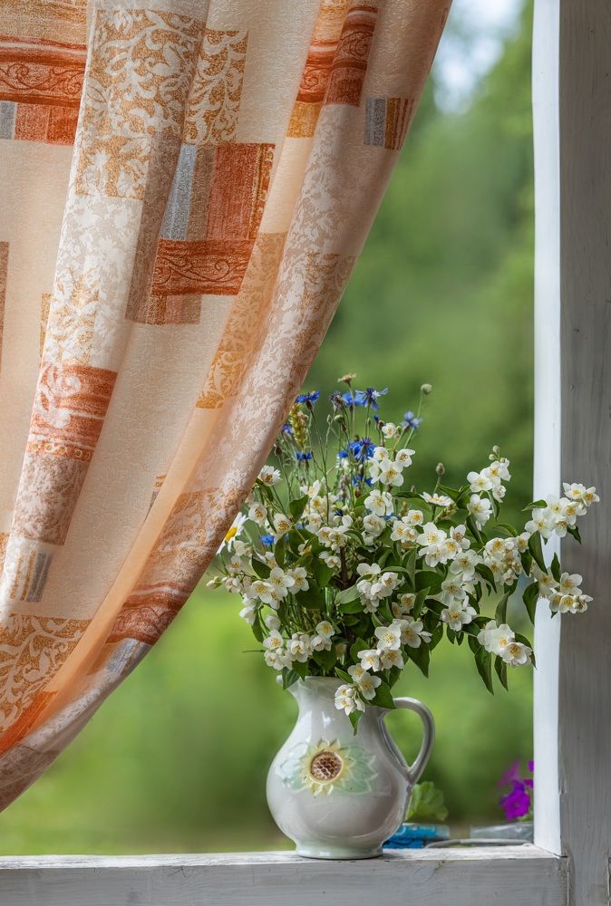 Фотография автора Татьяна Радусь