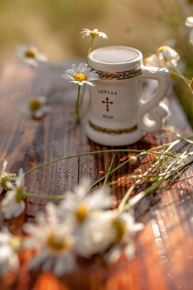 Photograph by Рита Одинокова