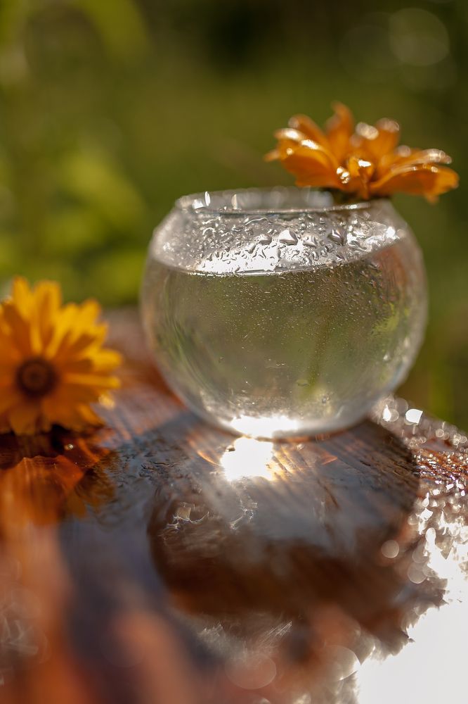 Photograph by Рита Одинокова