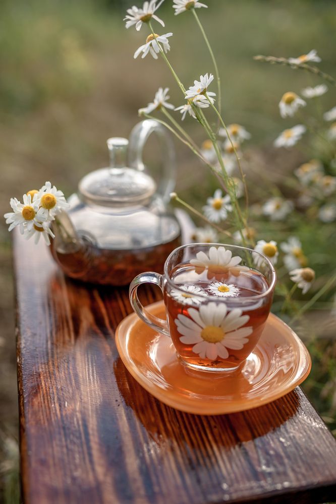 Одиночество вдвоём