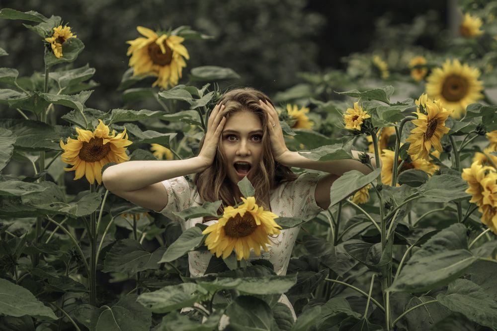 Photograph by 