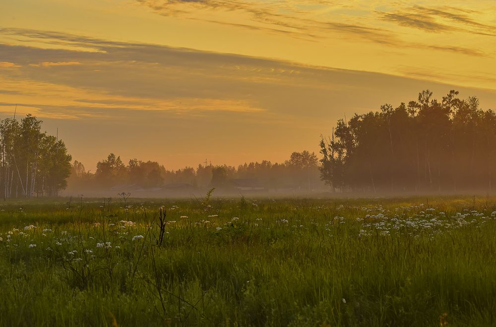 Приближение тумана