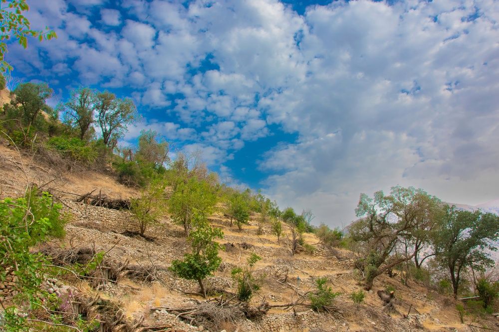 Фотография автора kazem kakaei