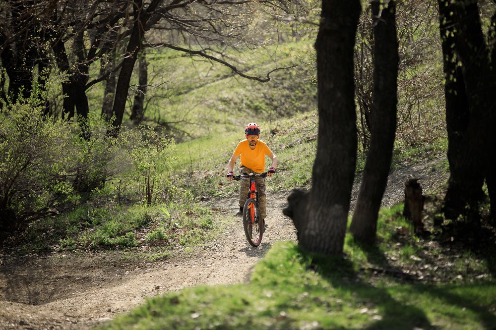 Photograph by Ольга Мазлова