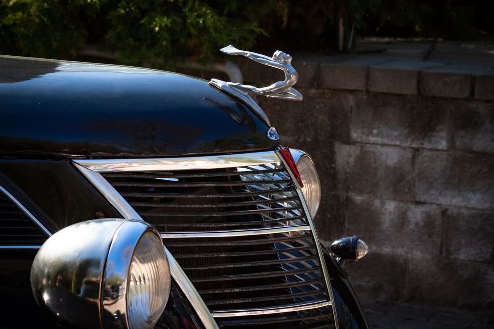 Photograph by Диана Бородзе