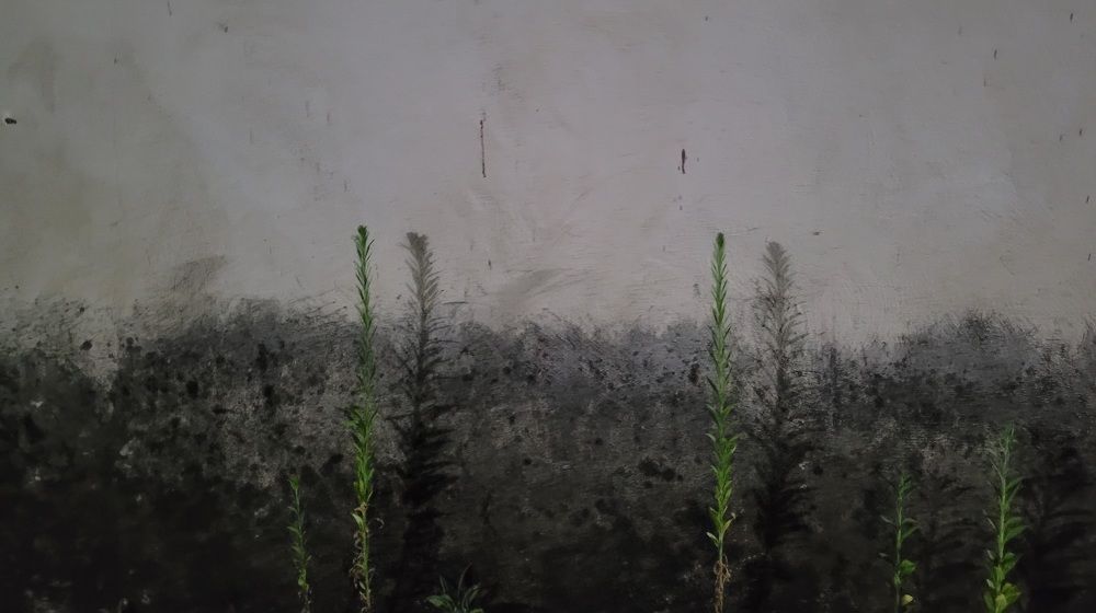 Photograph by Rahele Almassi