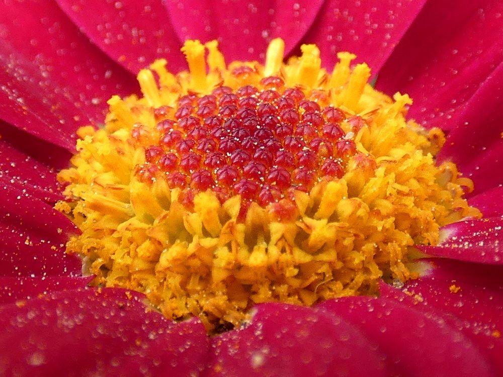 Photograph by Patrícia cruz