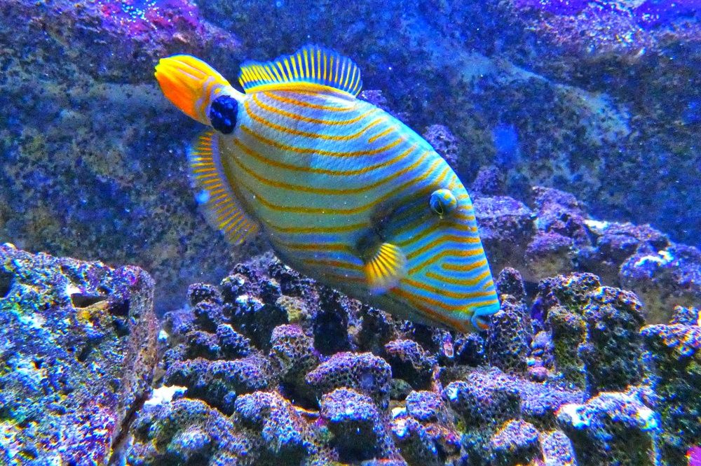 Photograph by Patrícia cruz