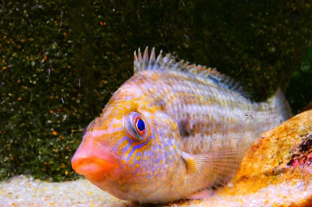 Photograph by Patrícia cruz