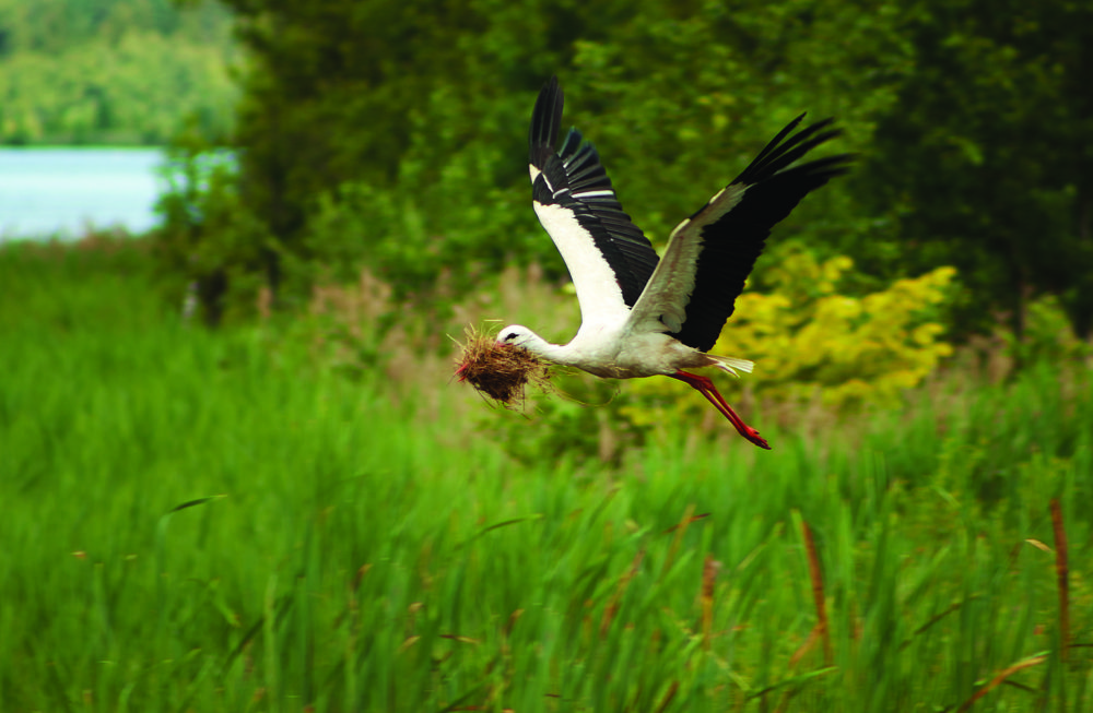 Фотография автора Julija Hisova