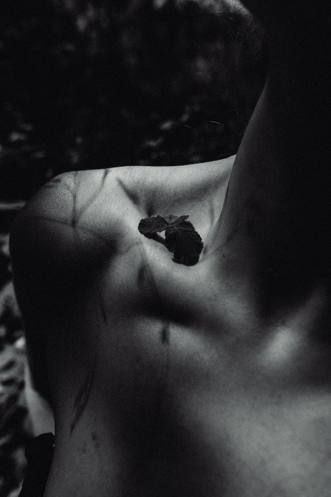 Photograph by Maksym Sereda